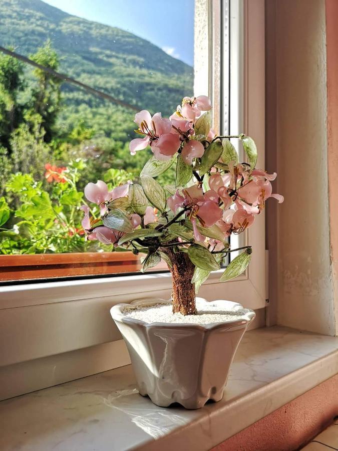 Apartma Floncna Apartment Bovec Luaran gambar